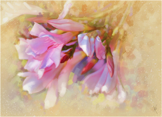 793765 (a): :2200x1594